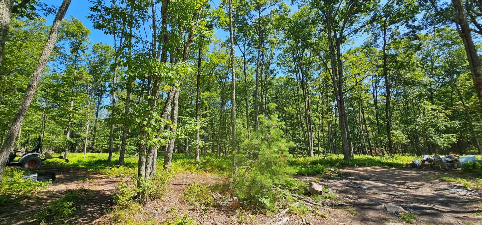 #15 photo, Lot 8.1 Eckes Road, Narrowsburg , NY 12764