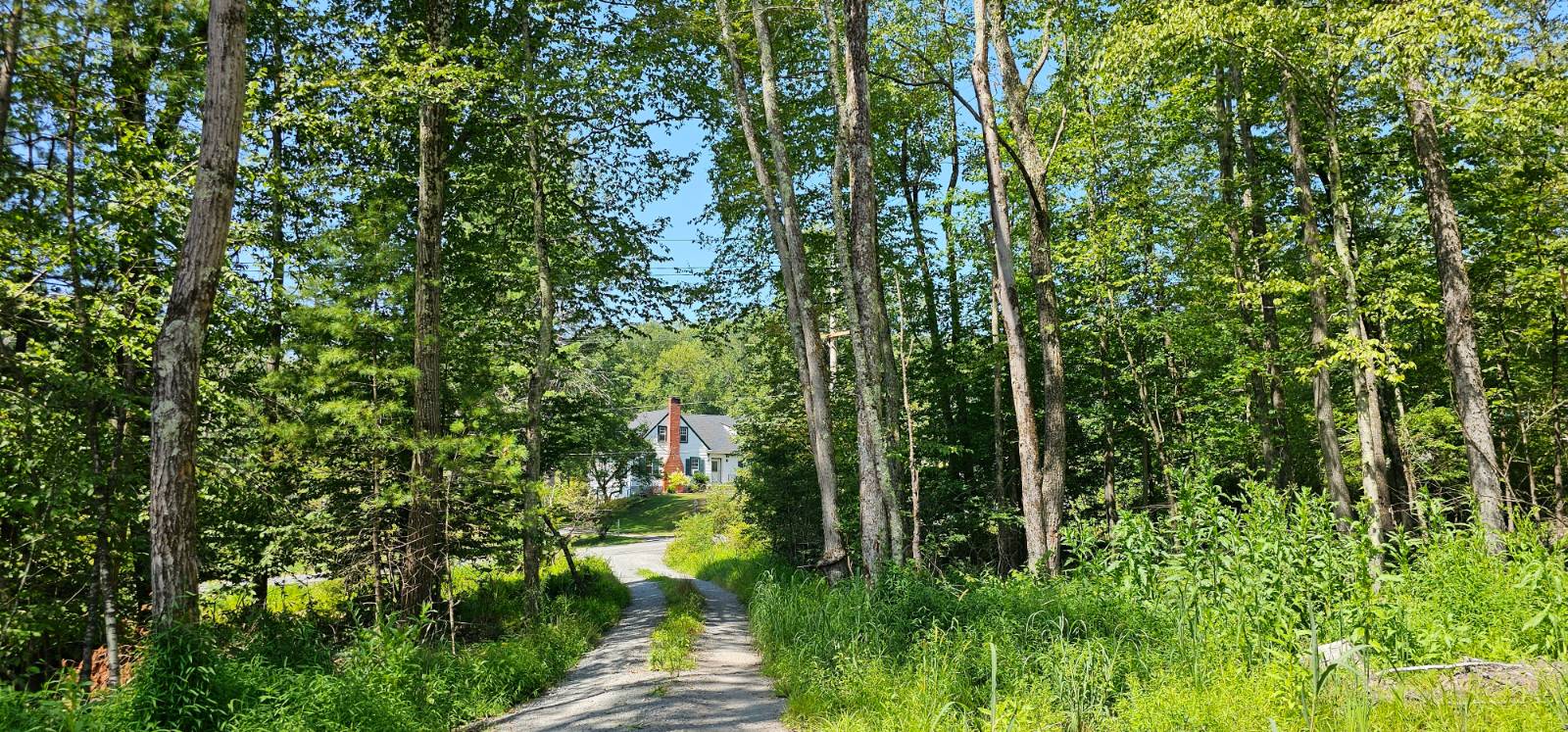 #17 photo, Lot 8.1 Eckes Road, Narrowsburg , NY 12764