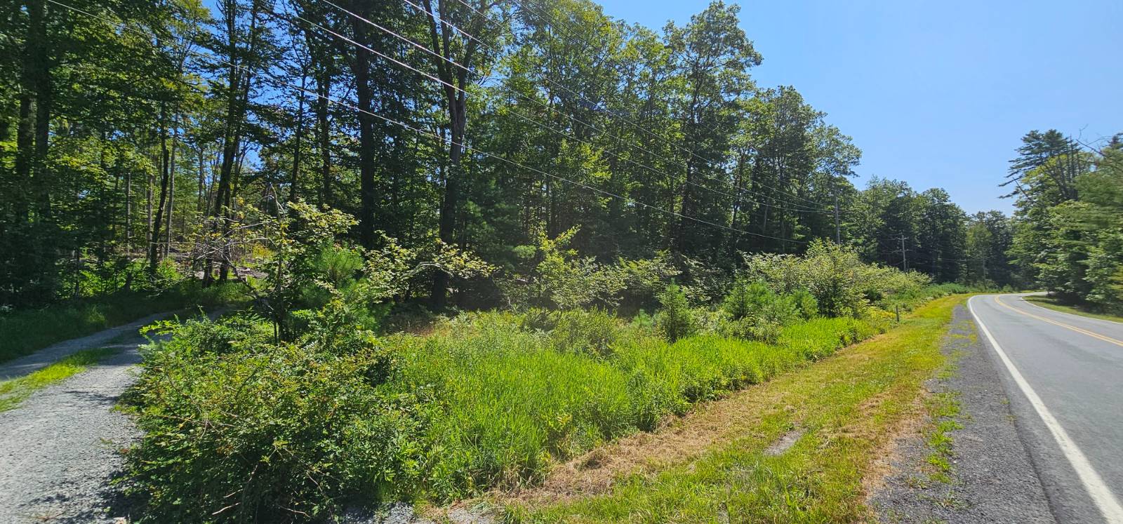 #19 photo, Lot 8.1 Eckes Road, Narrowsburg , NY 12764