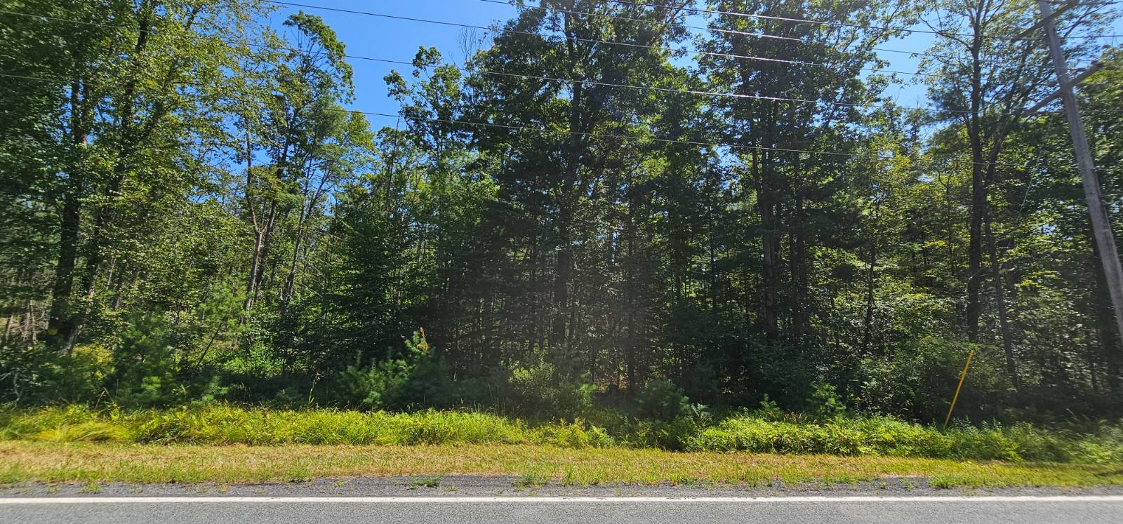 #27 photo, Lot 8.1 Eckes Road, Narrowsburg , NY 12764