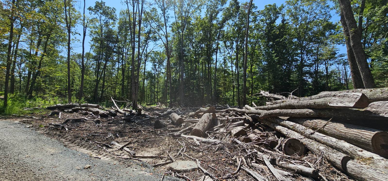 #3 photo, Lot 8.1 Eckes Road, Narrowsburg , NY 12764