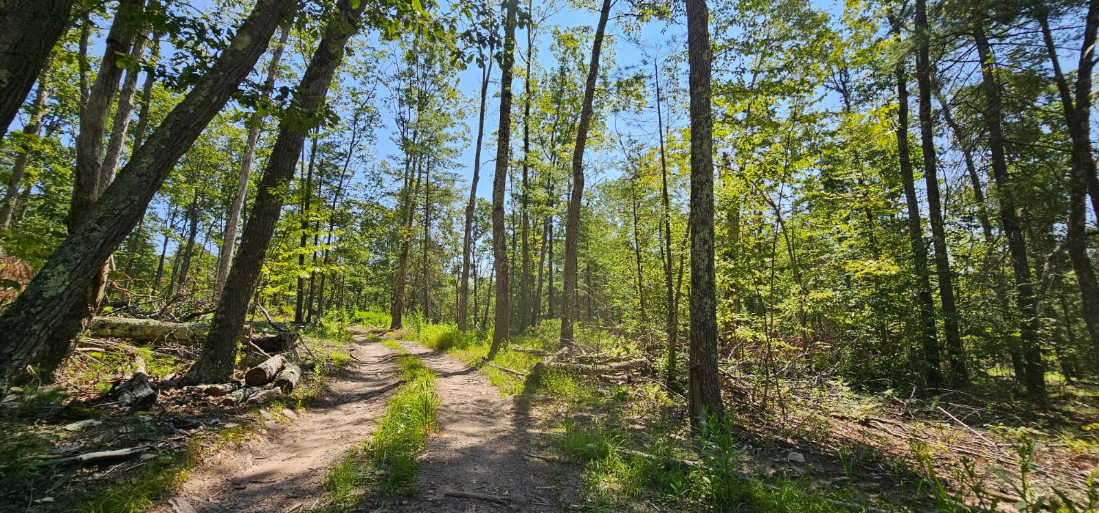 #6 photo, Lot 8.1 Eckes Road, Narrowsburg , NY 12764