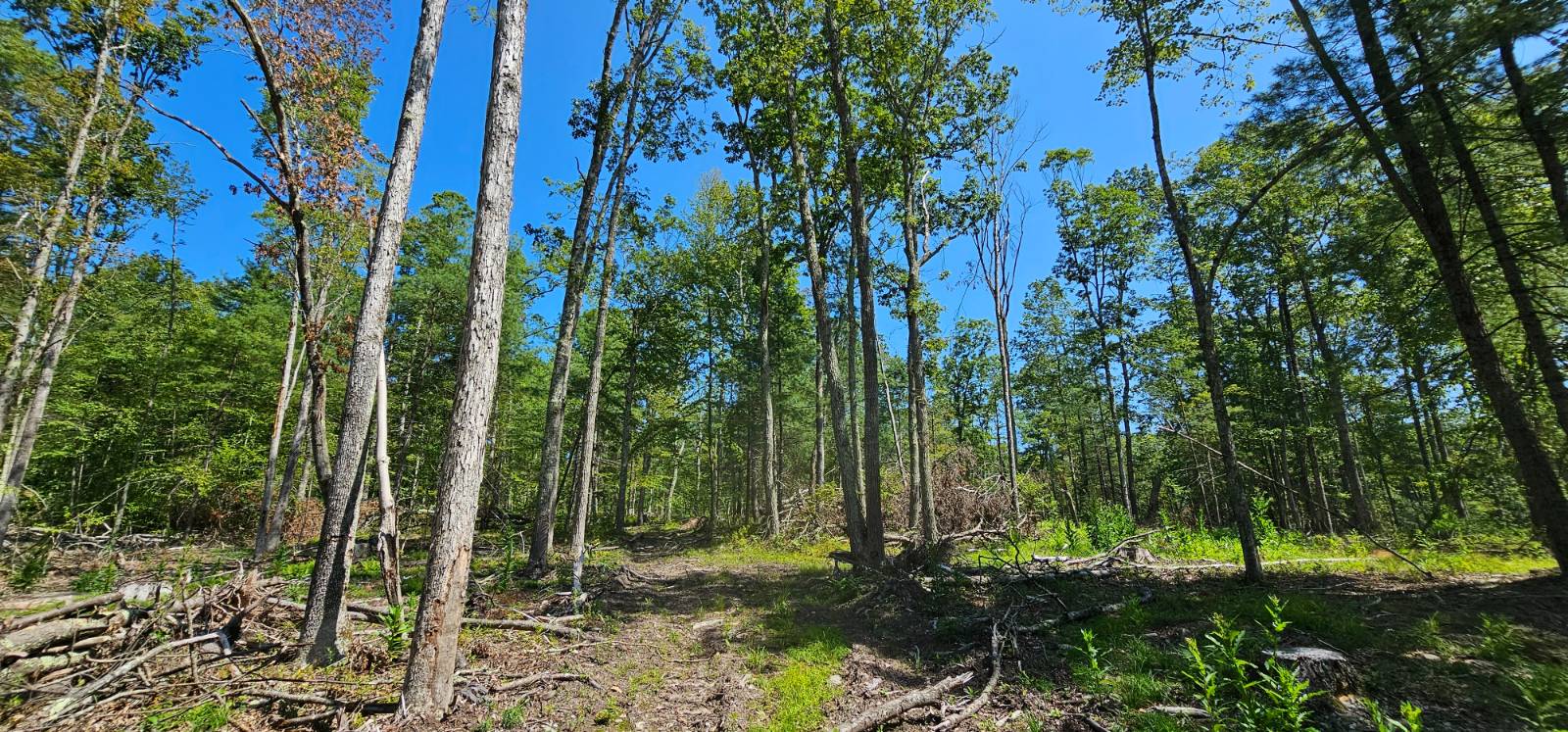 #7 photo, Lot 8.1 Eckes Road, Narrowsburg , NY 12764