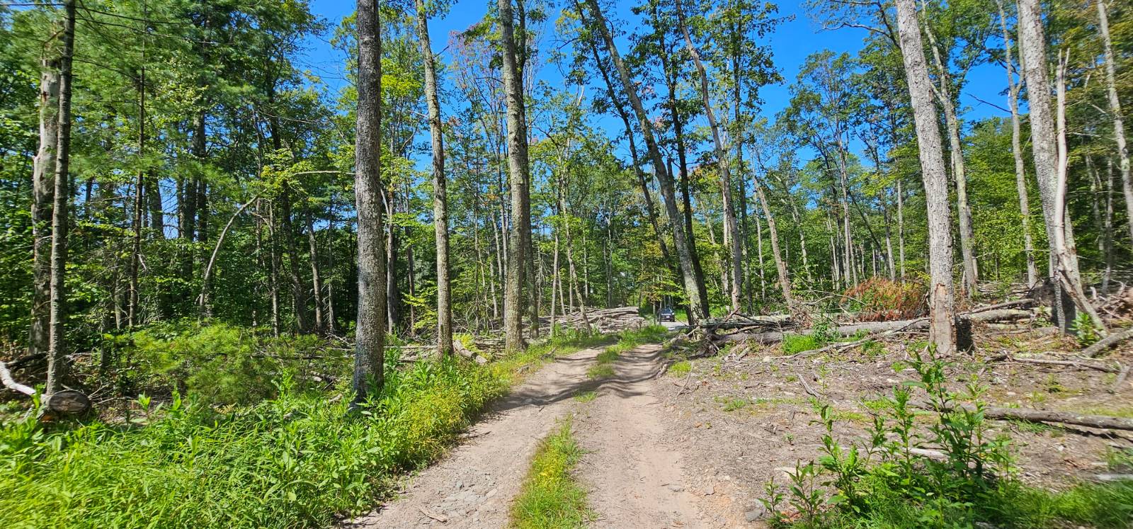 #8 photo, Lot 8.1 Eckes Road, Narrowsburg , NY 12764