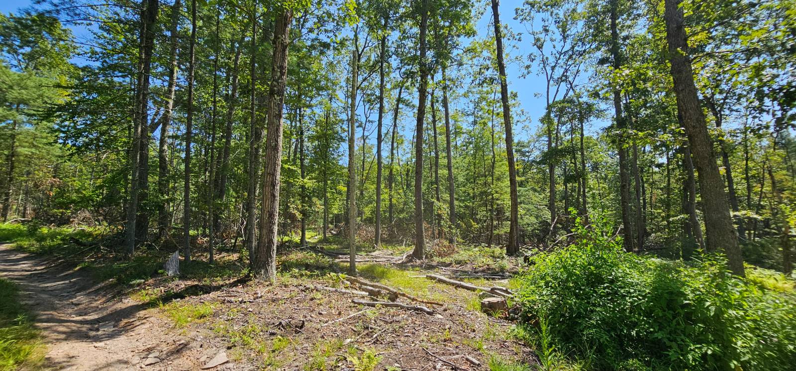 #9 photo, Lot 8.1 Eckes Road, Narrowsburg , NY 12764