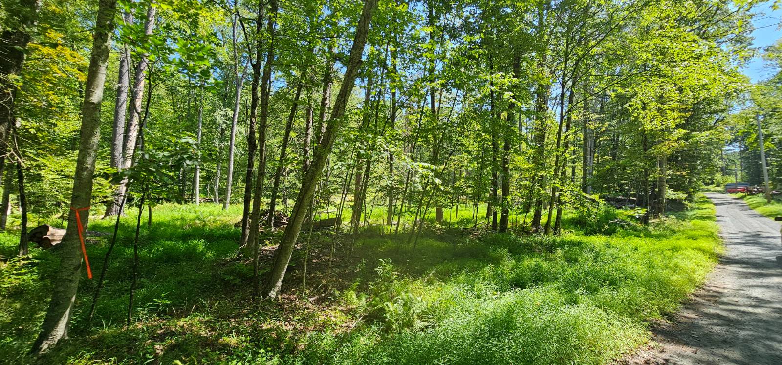 #11 photo, Lot 50 Deep Hollow Hill Rd, Narrowsburg , NY 12764