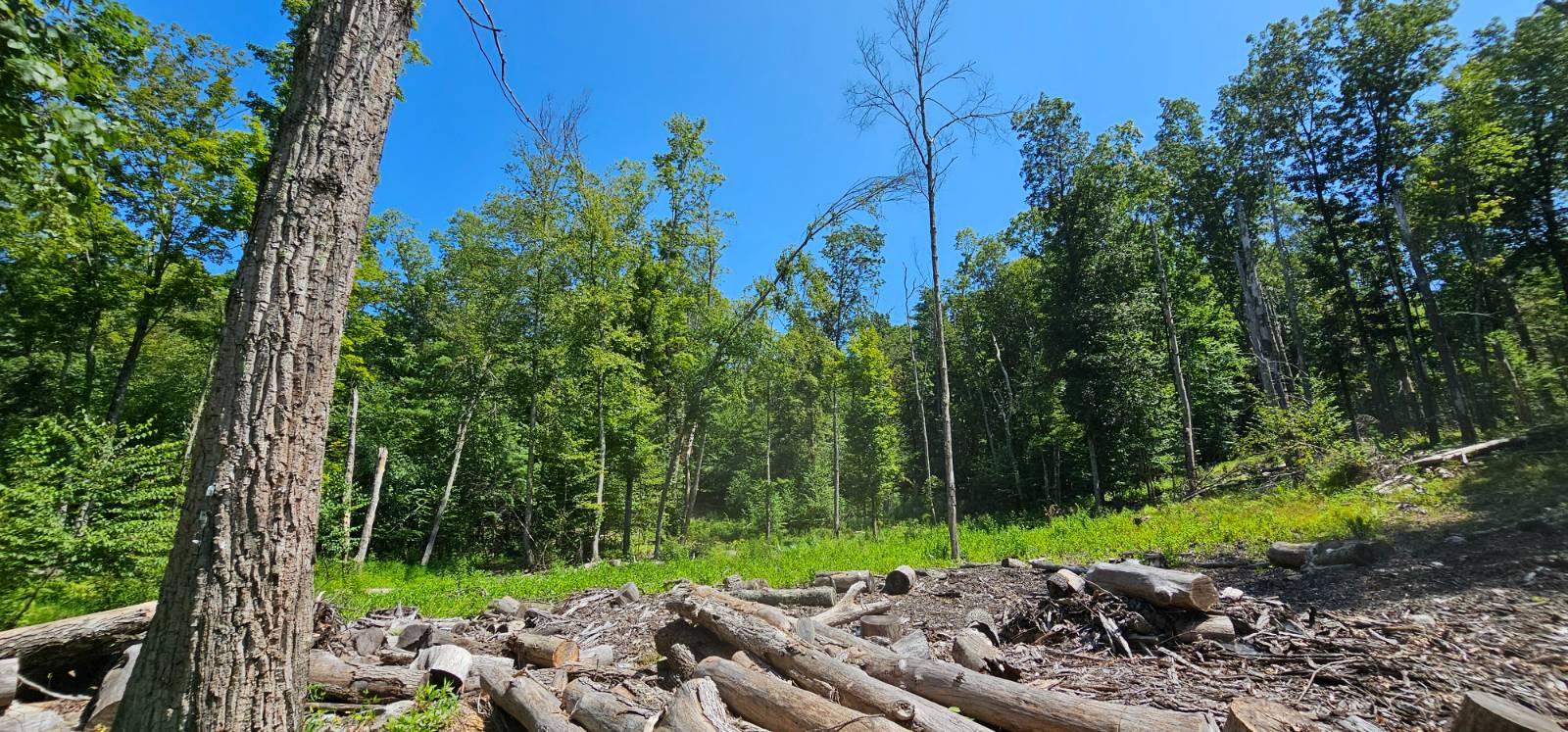 #18 photo, Lot 50 Deep Hollow Hill Rd, Narrowsburg , NY 12764