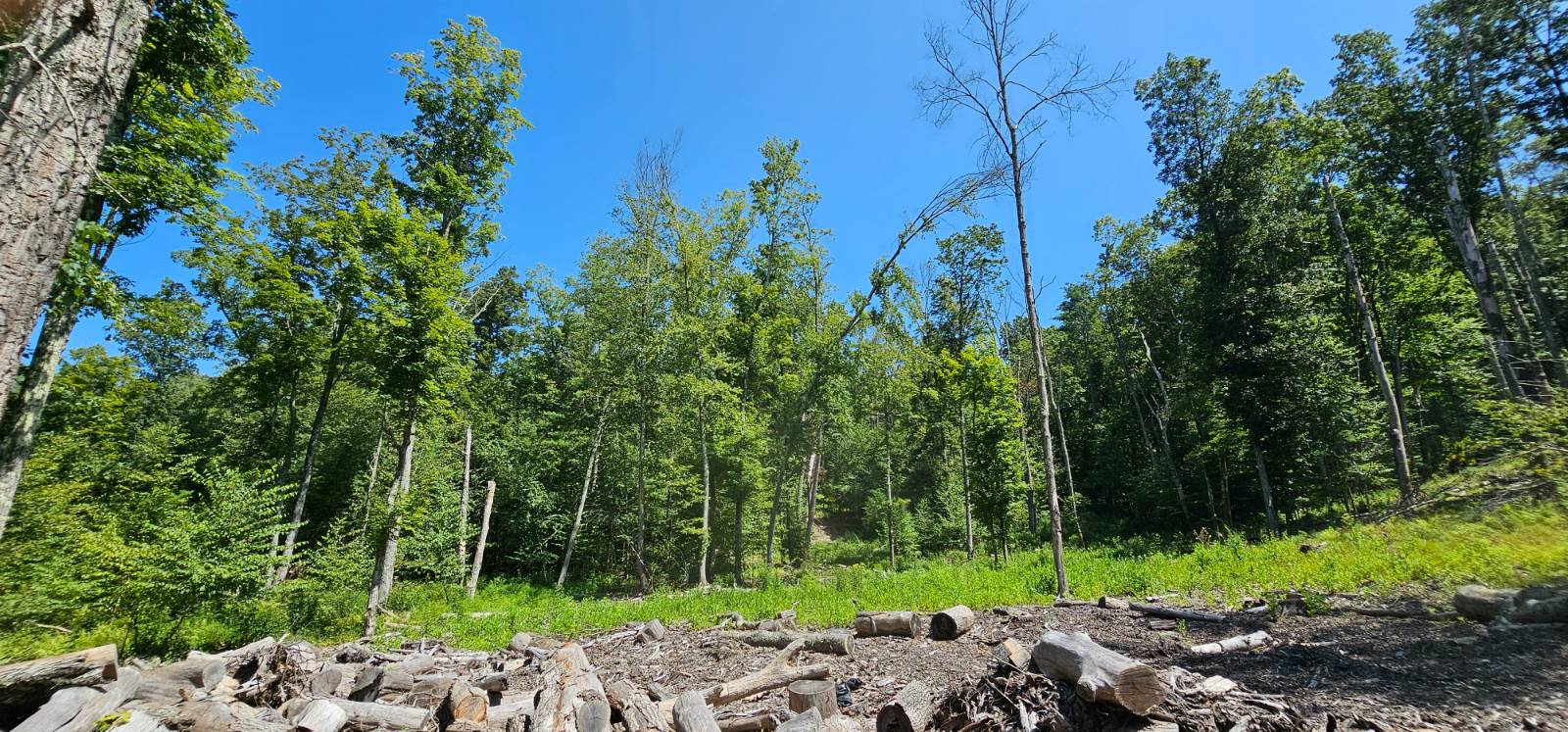 #19 photo, Lot 50 Deep Hollow Hill Rd, Narrowsburg , NY 12764