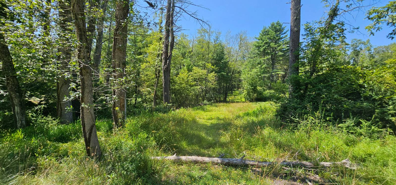 #4 photo, Lot 50 Deep Hollow Hill Rd, Narrowsburg , NY 12764