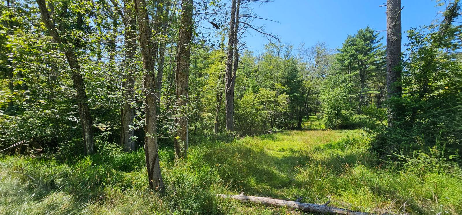 #6 photo, Lot 50 Deep Hollow Hill Rd, Narrowsburg , NY 12764