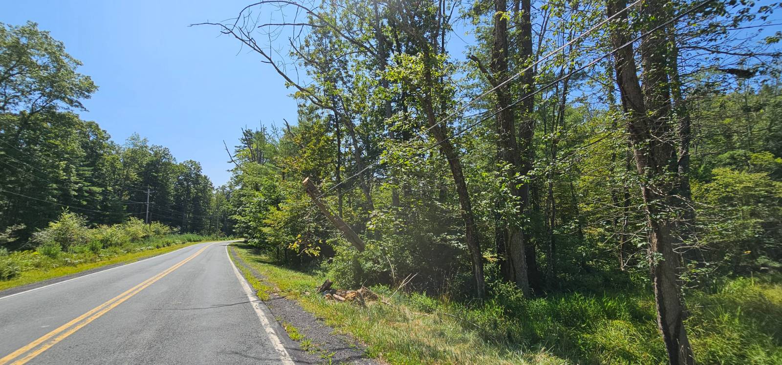 #8 photo, Lot 50 Deep Hollow Hill Rd, Narrowsburg , NY 12764