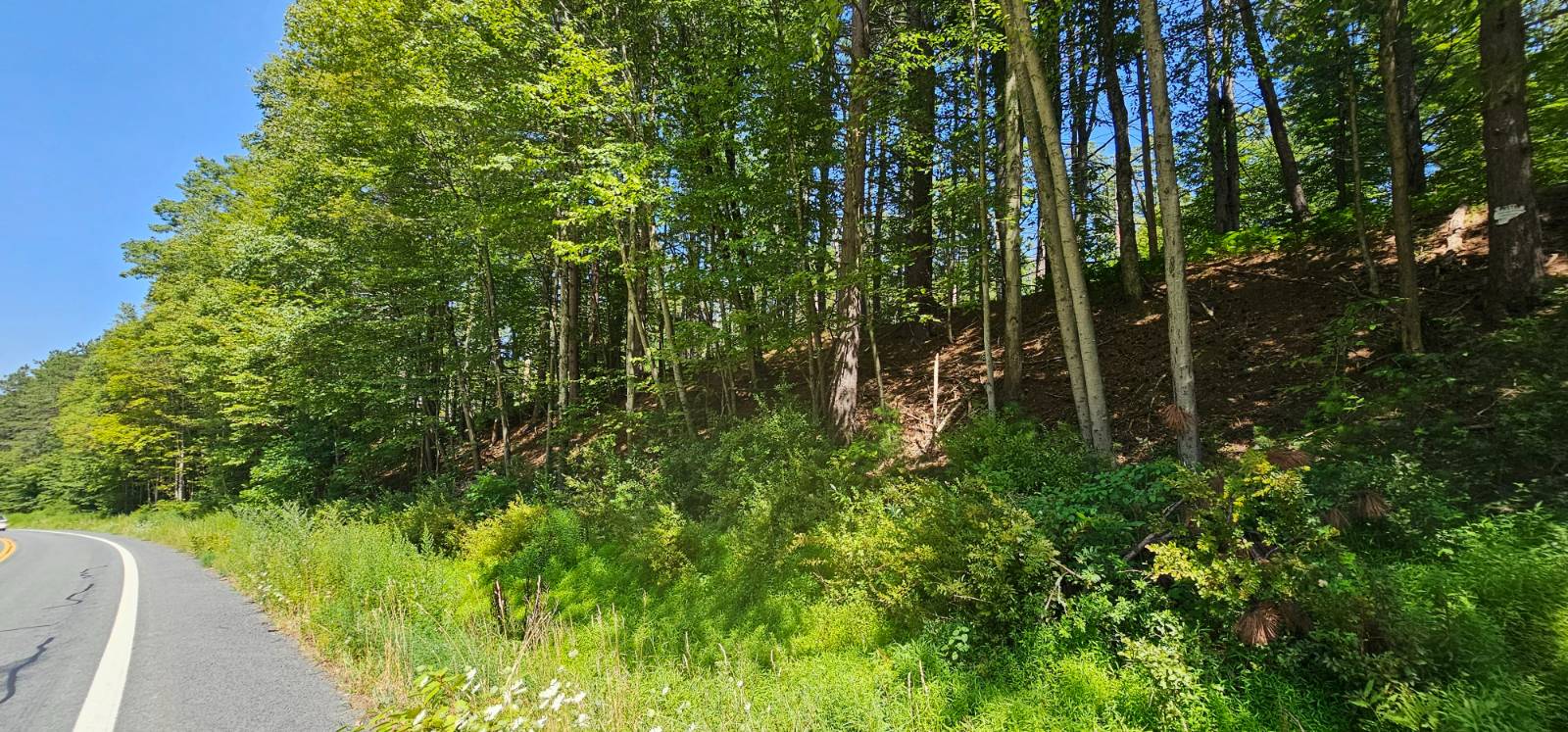 #9 photo, Lot 50 Deep Hollow Hill Rd, Narrowsburg , NY 12764