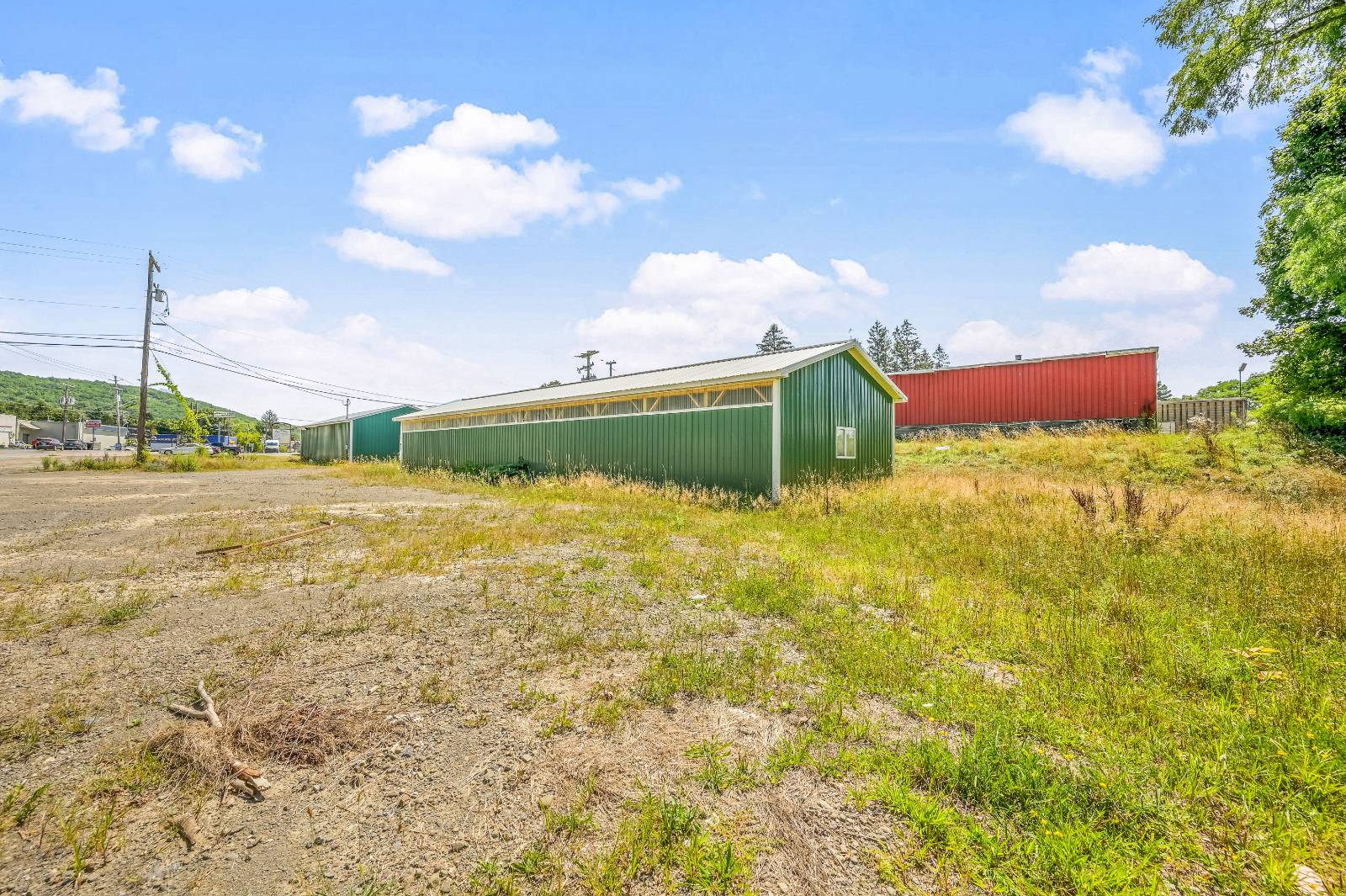 #48 photo, 449 Chestnut St, Oneonta , NY 13820