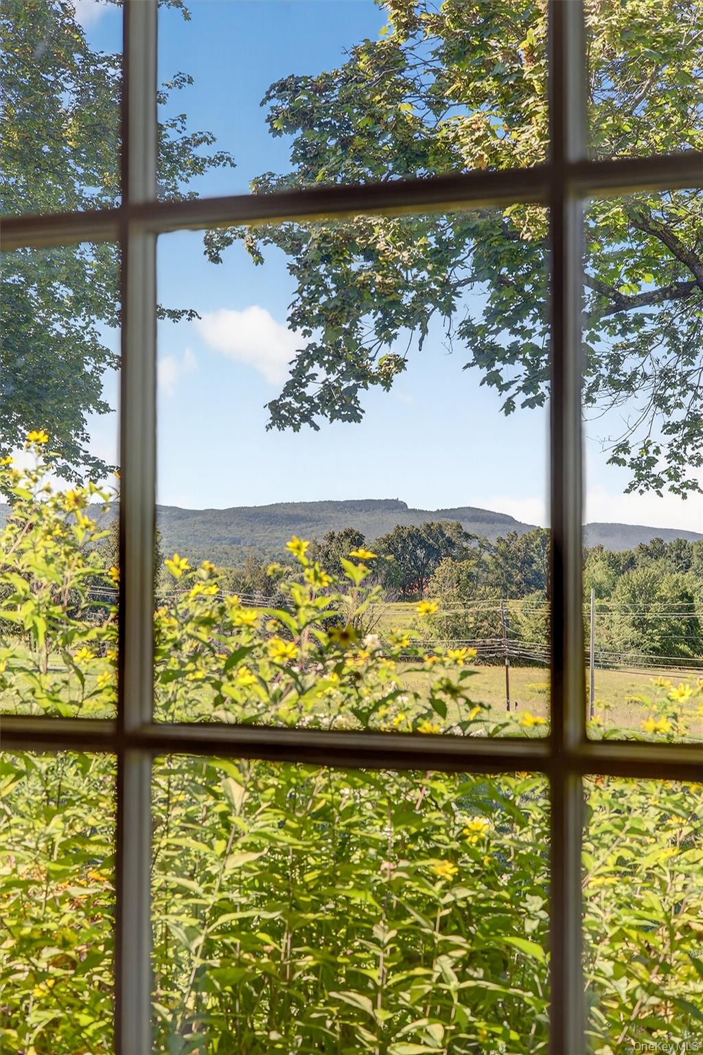 #15 photo, 1520 State Route 213, High Falls , NY 12440