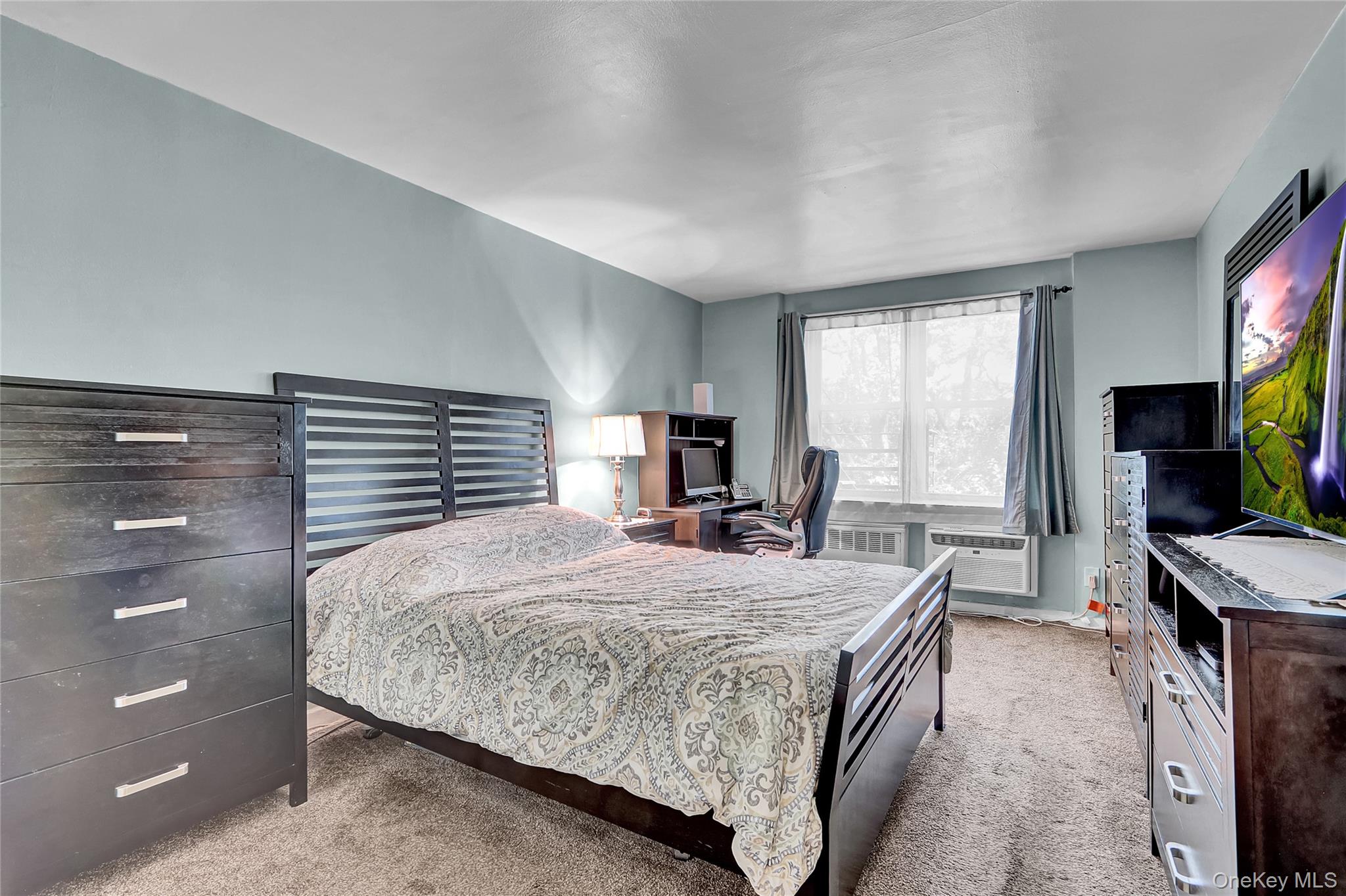 #14 photo, 490 Atlantic Avenue, ナッソー郡 East Rockaway , NY 11518