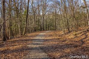 #6 photo, TBD Cragsmoor/Vista Maria, Cragsmoor , NY 