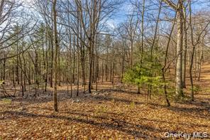 #7 photo, TBD Cragsmoor/Vista Maria, Cragsmoor , NY 