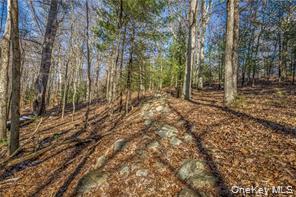 #9 photo, TBD Cragsmoor/Vista Maria, Cragsmoor , NY 