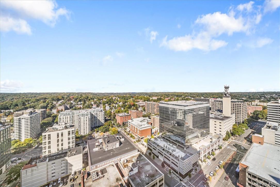 #8 photo, 5 Renaissance Square, White Plains , NY 10601