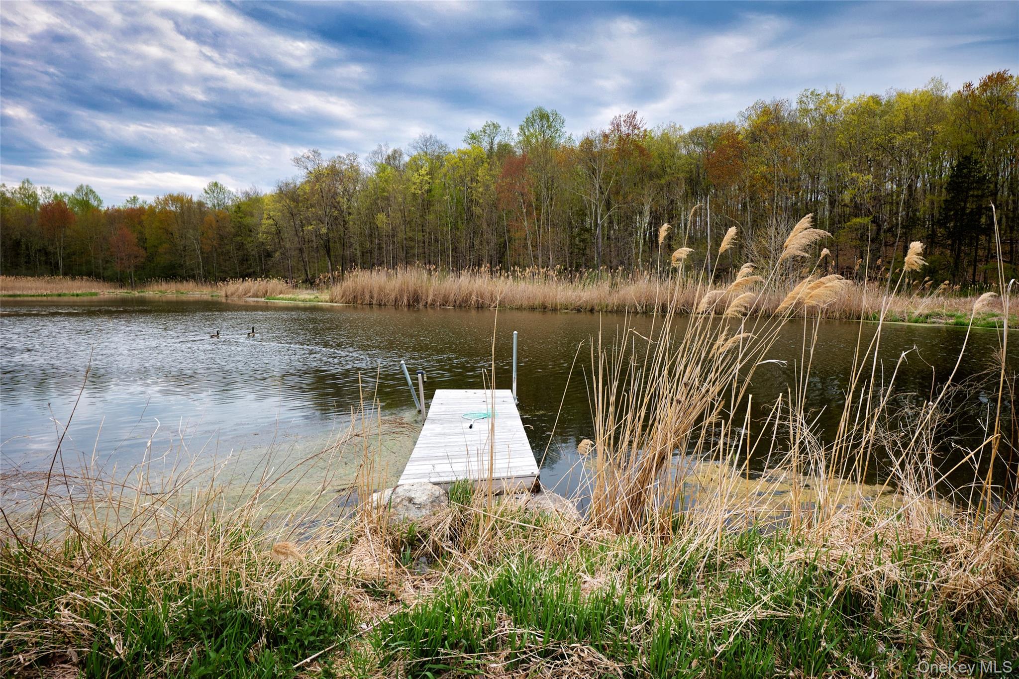 #4 photo, 14 Stonewall Court, Warwick , NY 10990