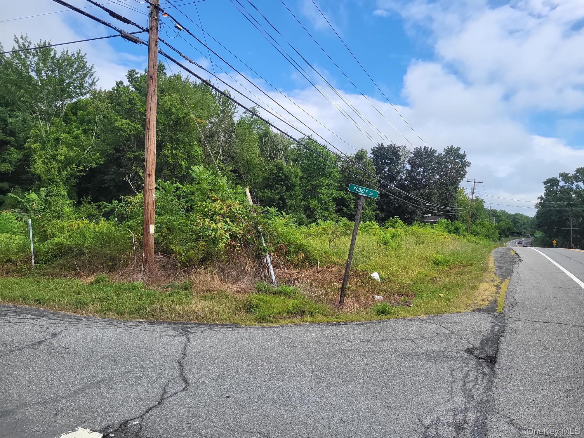 #3 photo, W NYS RTE 208 Highway (Bona Ventura) Avenue, Wallkill , NY 12589