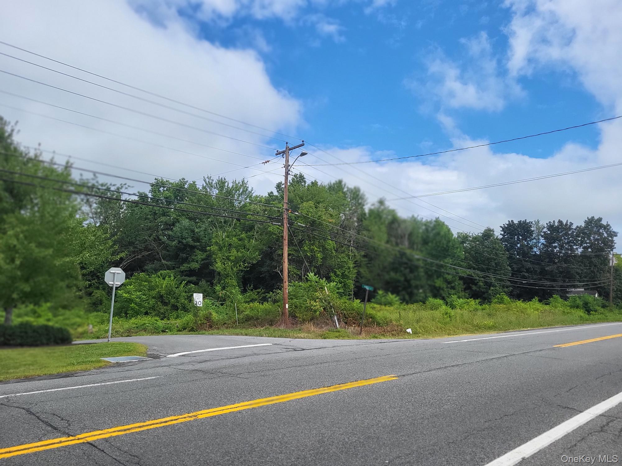 #7 photo, W NYS RTE 208 Highway (Bona Ventura) Avenue, Wallkill , NY 12589