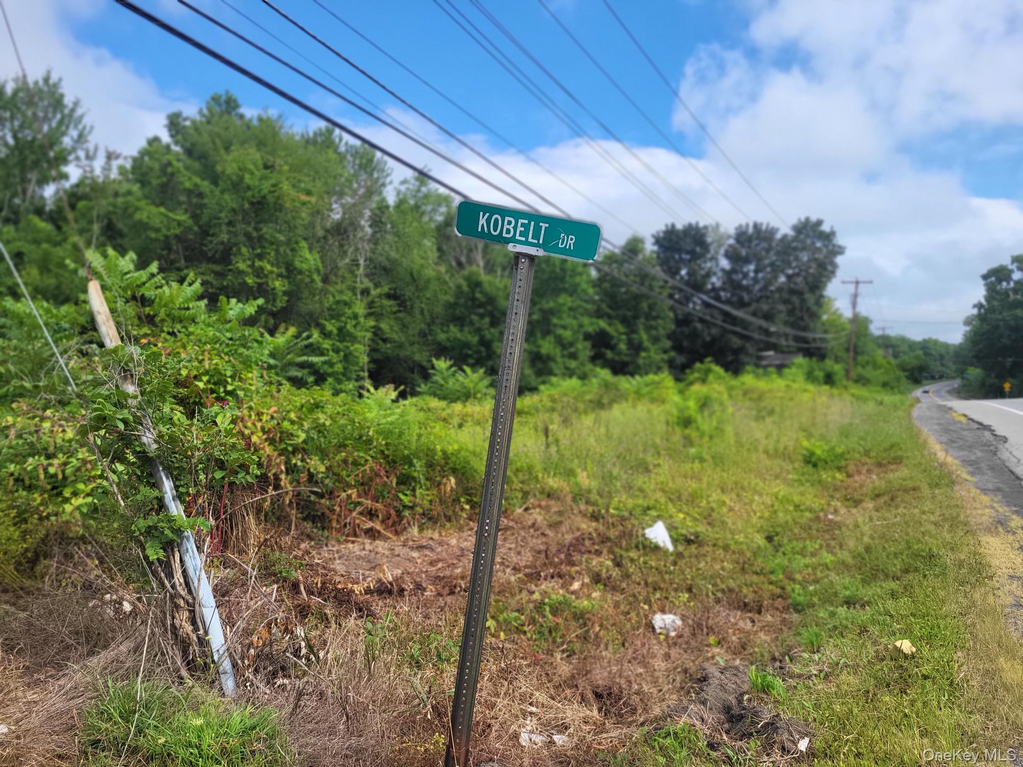 #9 photo, W NYS RTE 208 Highway (Bona Ventura) Avenue, Wallkill , NY 12589