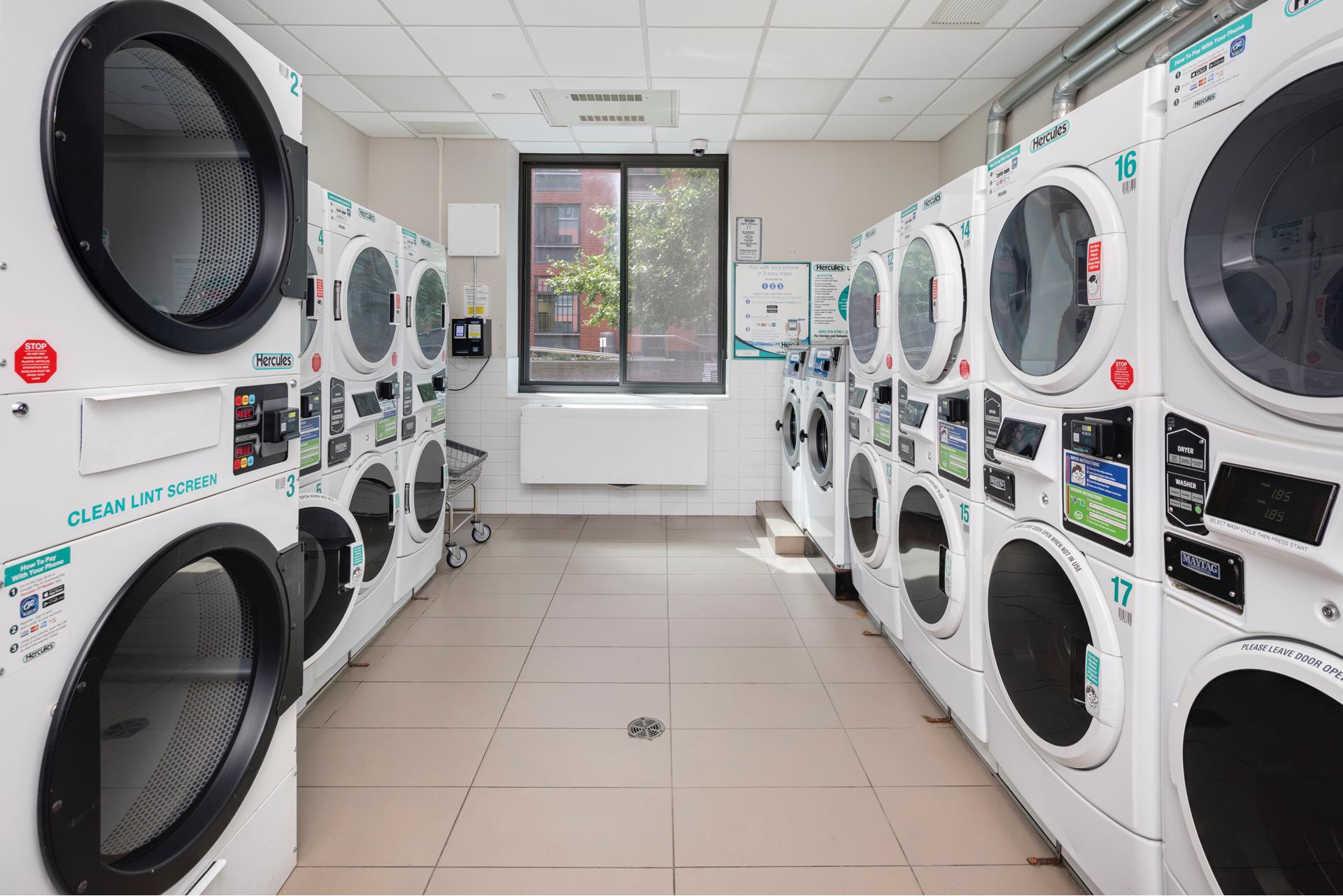 #13 photo, Brooklyn, ブルックリン区 Fort Greene , NY 11205