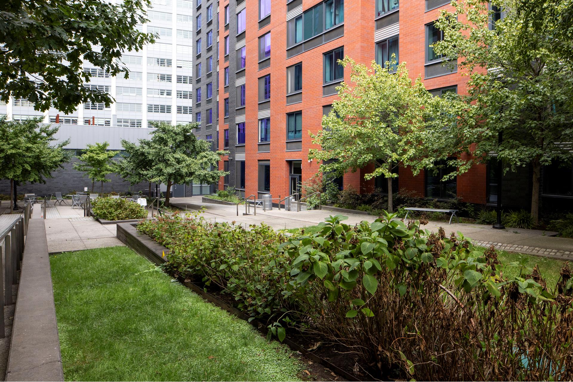 #16 photo, Brooklyn, ブルックリン区 Fort Greene , NY 11205