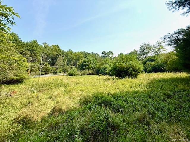 #5 photo, 271 High Road, Glen Spey , NY 12737