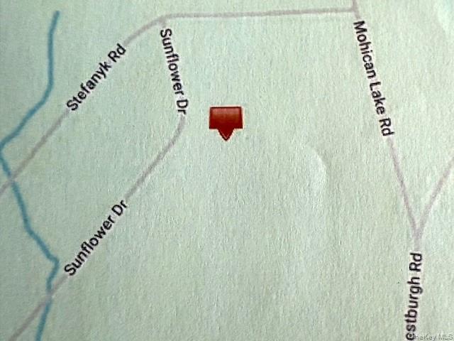 #4 photo, Lot 7 Sunflower Drive, Glen Spey , NY 12737