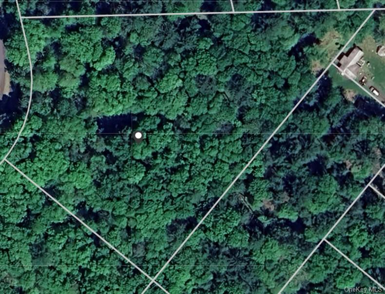 #5 photo, Lot 7 Sunflower Drive, Glen Spey , NY 12737