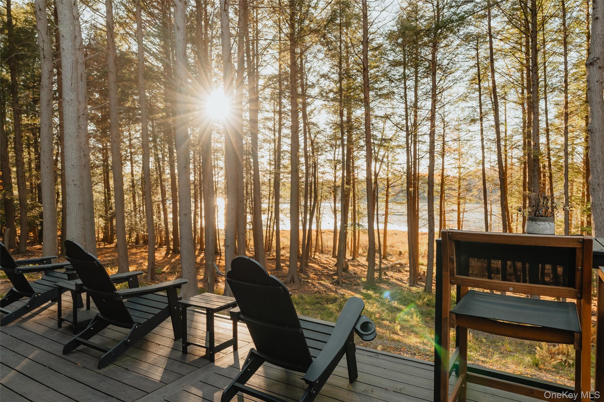 #3 photo, 521 Perry Road, Swan Lake , NY 12720