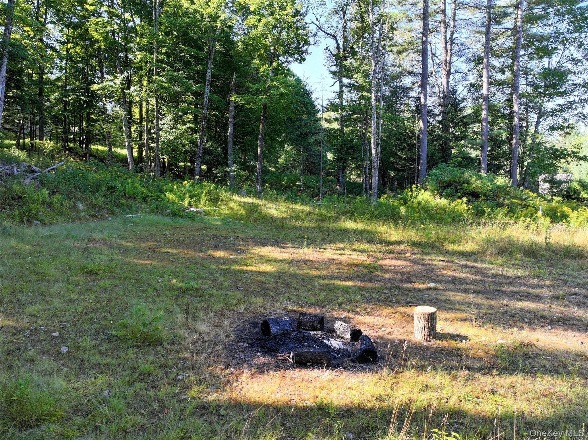 #16 photo, L39 Off Flowers Way, Call Listing Agent , NY 12847