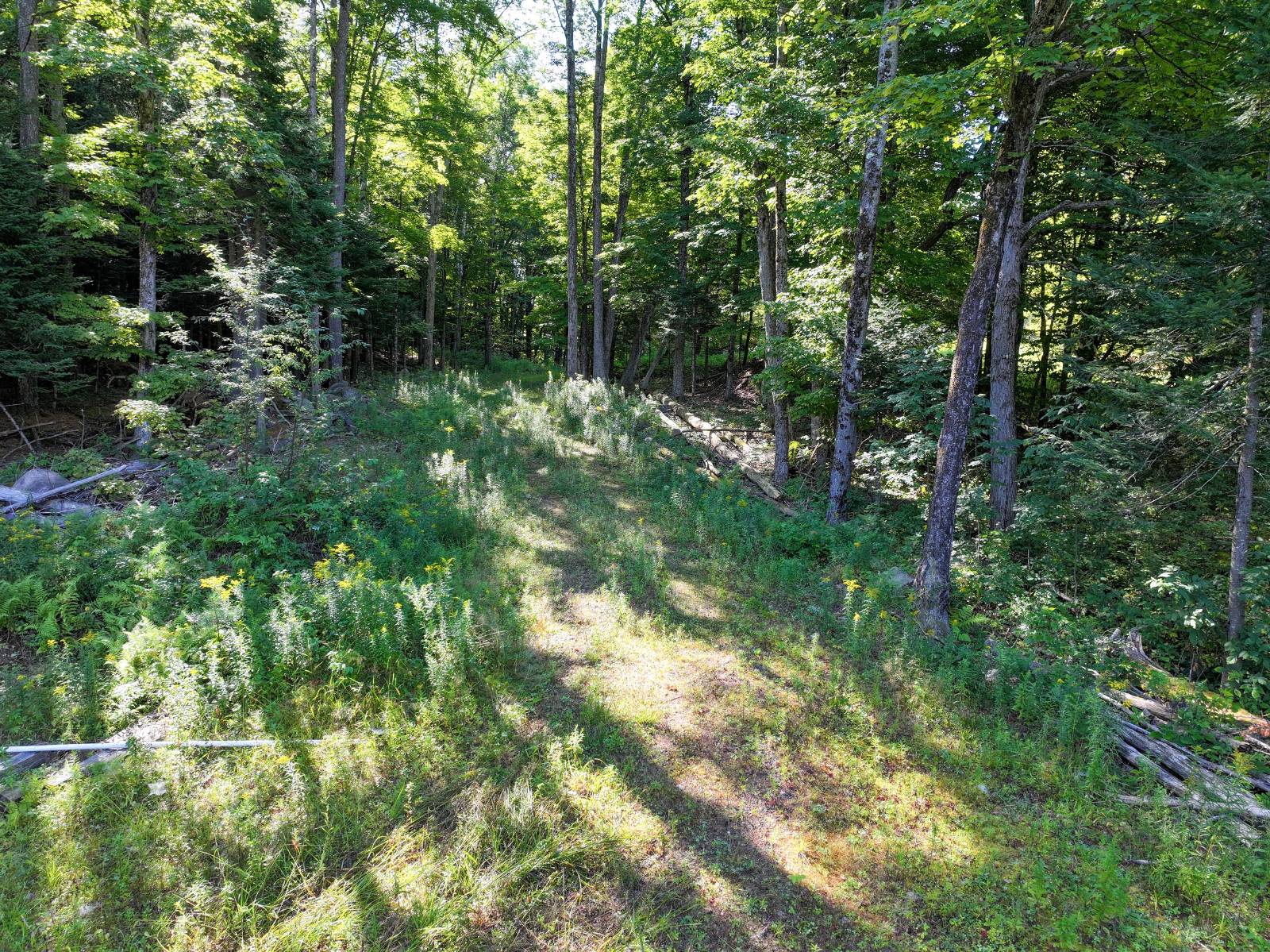 #17 photo, L39 Off Flowers Way, Long Lake , NY 12847