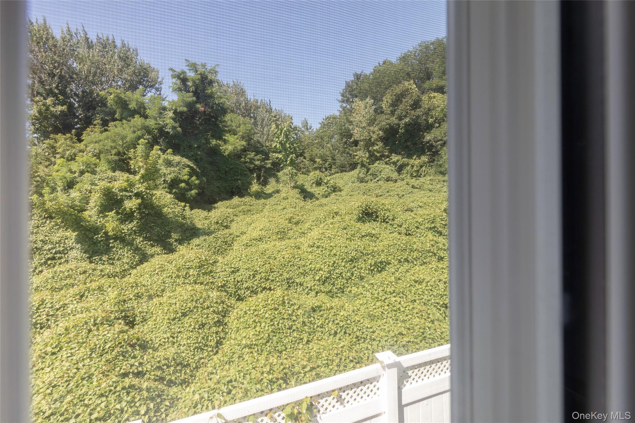 #16 photo, 104 Tier Street, ブロンクス区 Bronx , NY 10464