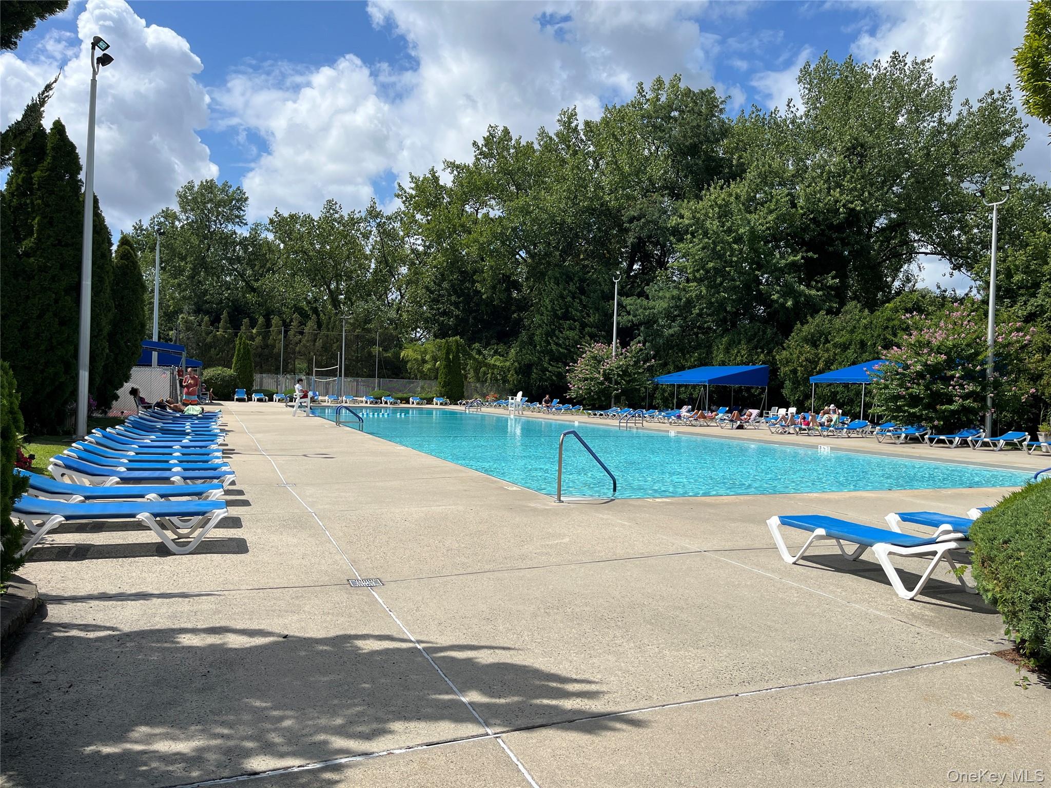 #16 photo, 6 West Mill Drive, ナッソー郡 Great Neck , NY 11021