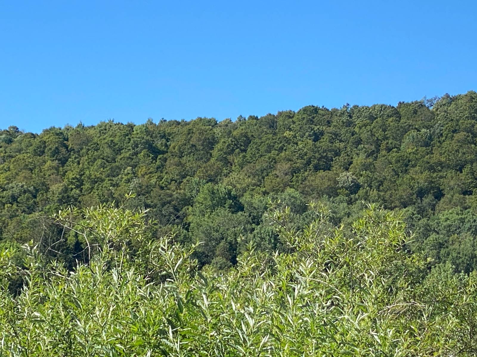 #1 photo, 00 County Hwy 14, East Meredith , NY 13757