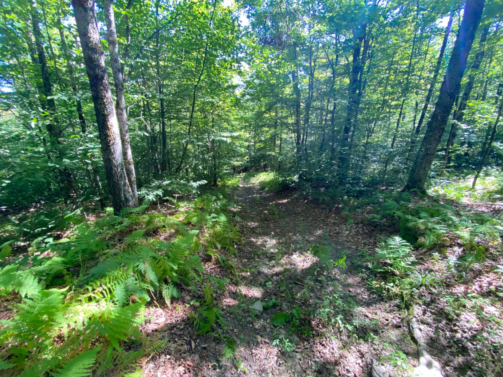 #12 photo, 00 County Hwy 14, East Meredith , NY 13757