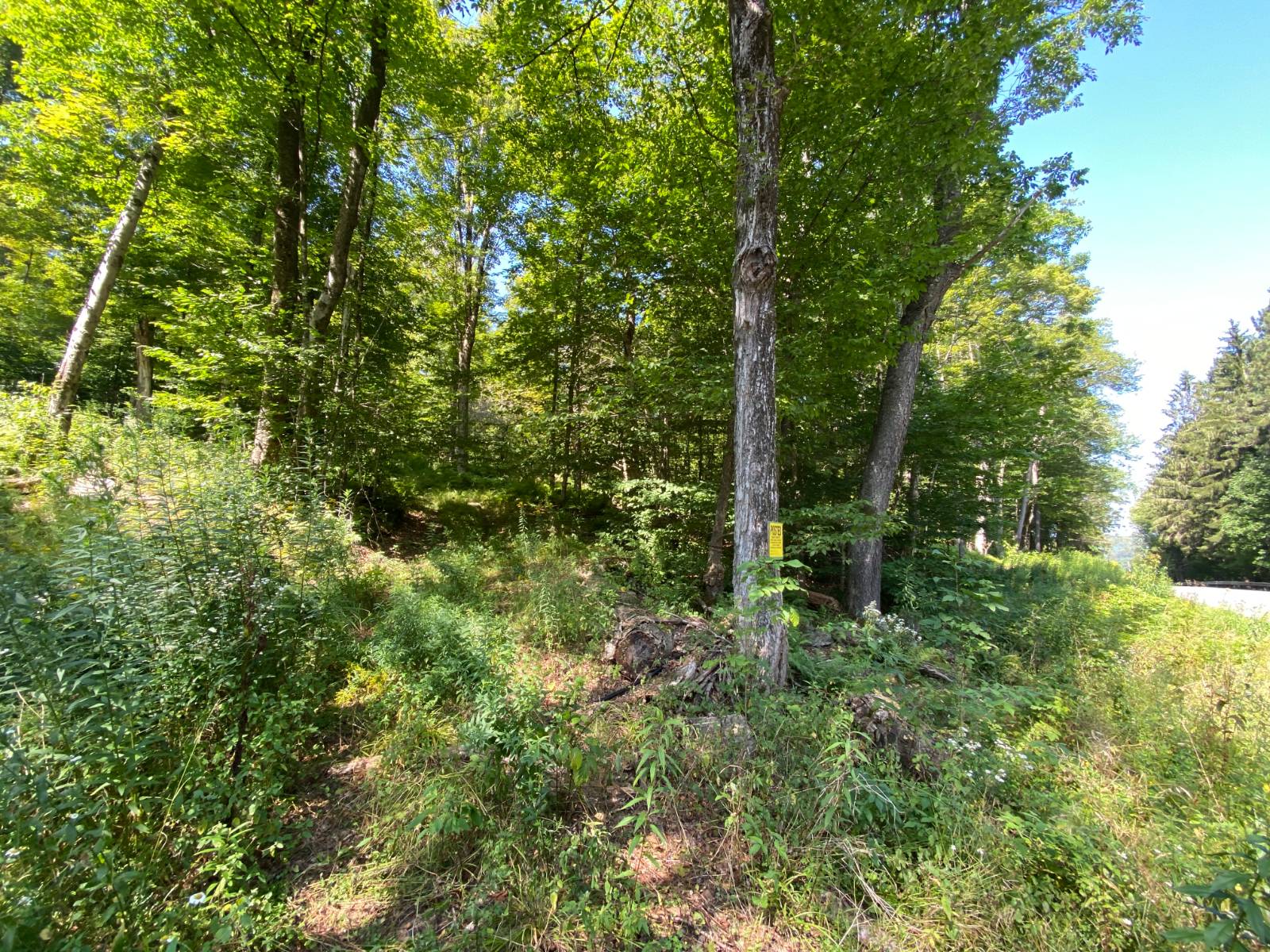 #4 photo, 00 County Hwy 14, East Meredith , NY 13757