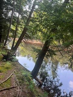 #2 photo, 0 Garrison Rd, #8, Pitcairn , NY 13648