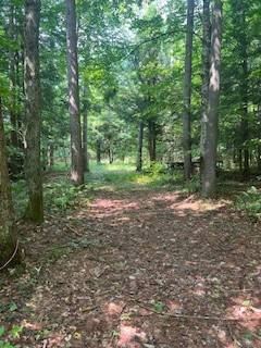 #6 photo, 0 Garrison Rd, #8, Pitcairn , NY 13648