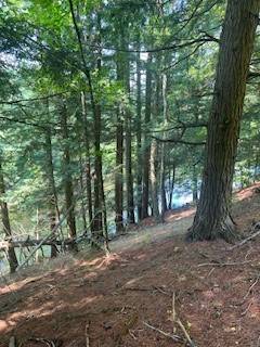 #7 photo, 0 Garrison Rd, #8, Pitcairn , NY 13648