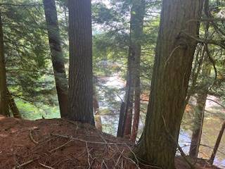 #8 photo, 0 Garrison Rd, #8, Pitcairn , NY 13648