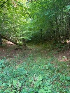 #9 photo, 0 Garrison Rd, #8, Pitcairn , NY 13648