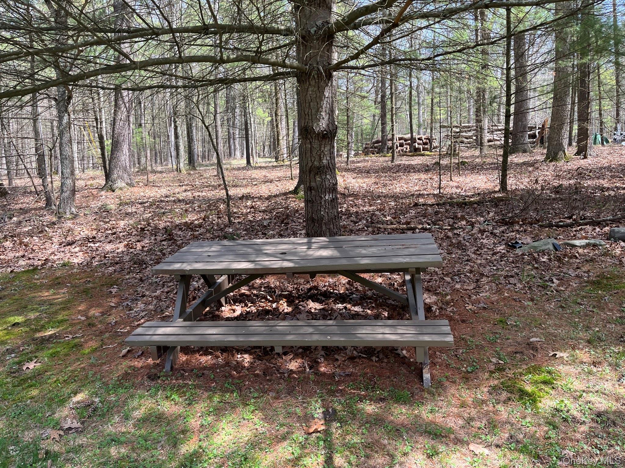 #11 photo, 10 White Pine Road, Glen Spey , NY 12737