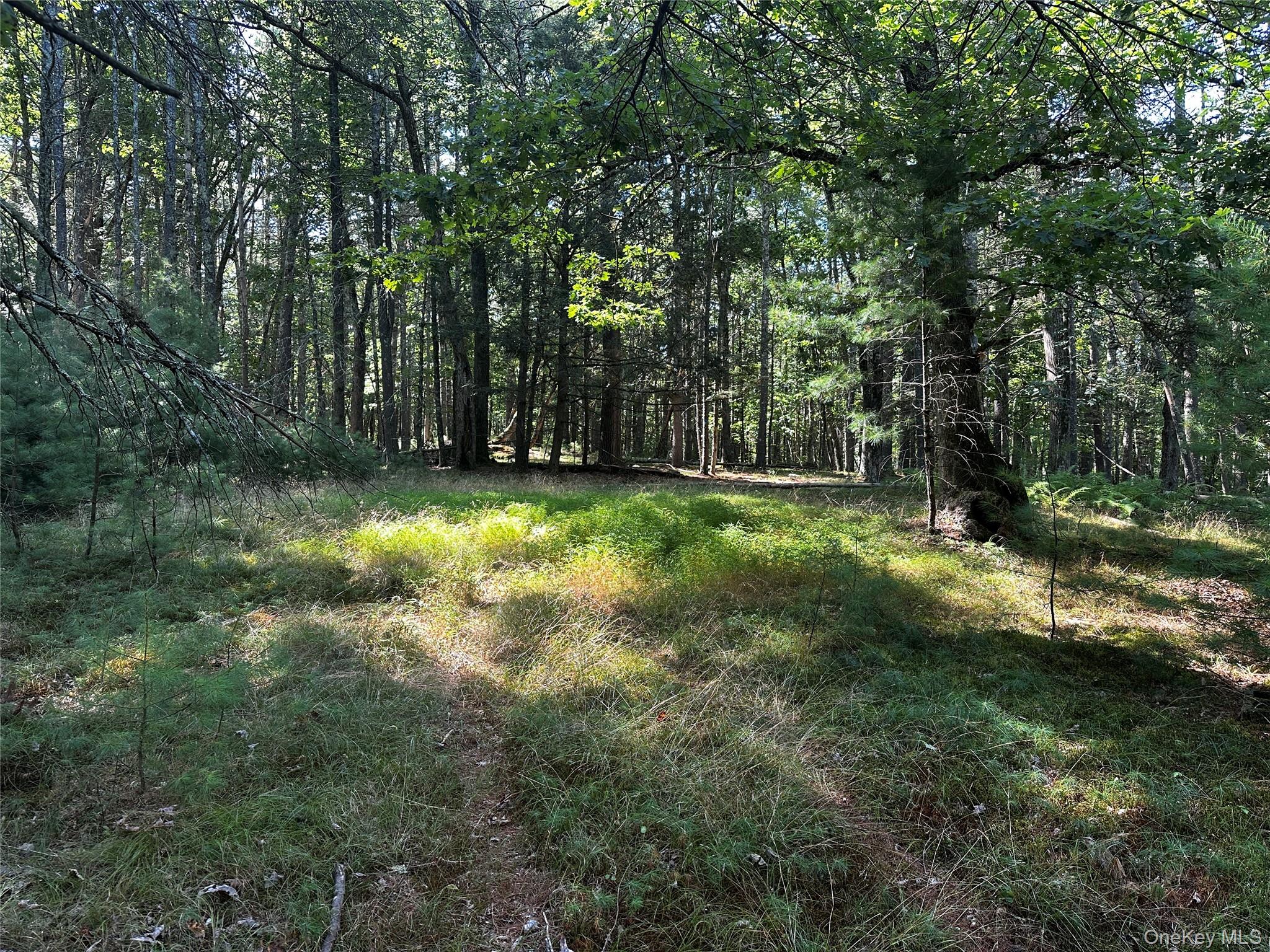 #10 photo, 8 Kern Road, Barryville , NY 12719