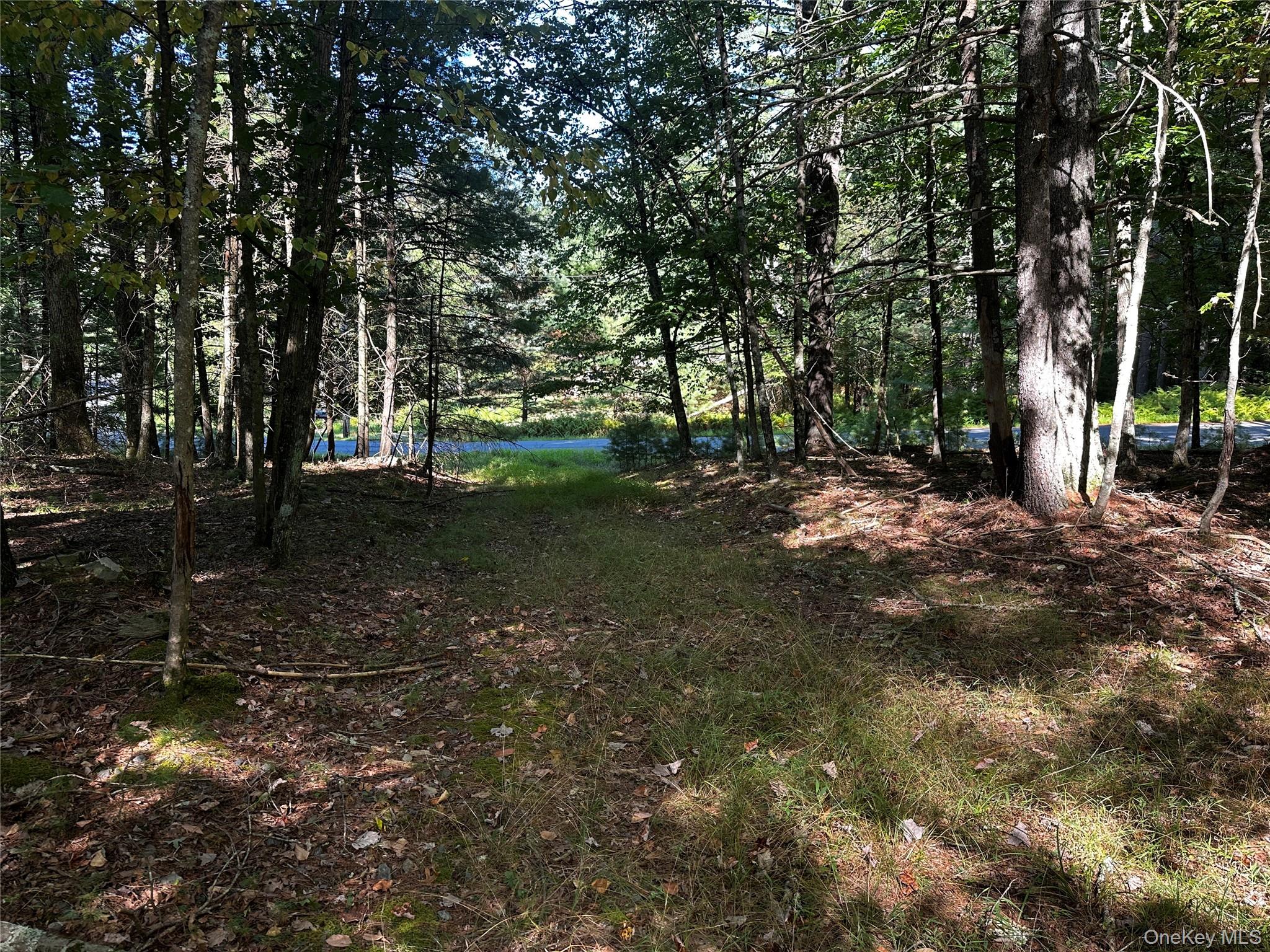 #11 photo, 8 Kern Road, Barryville , NY 12719