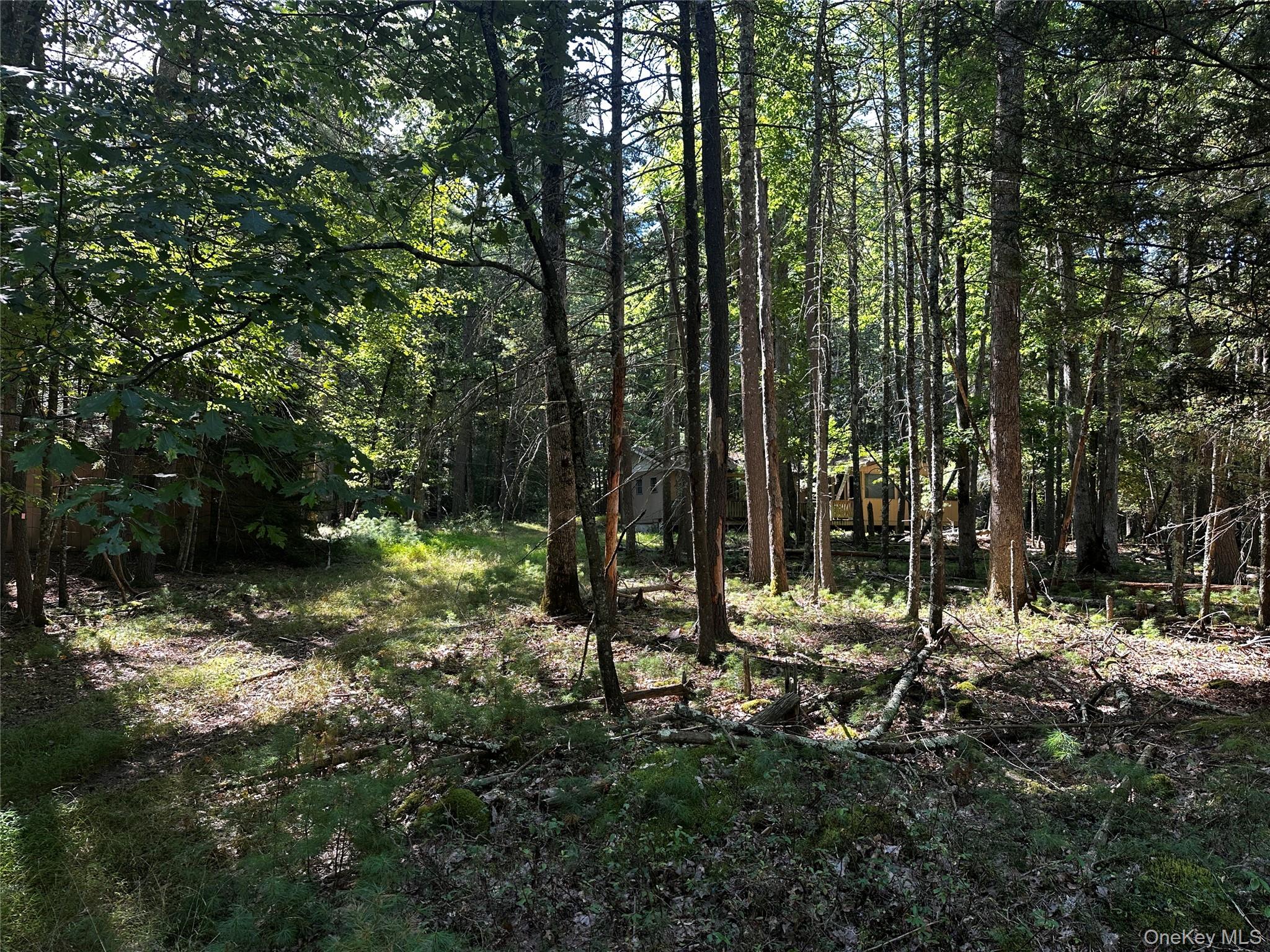 #12 photo, 8 Kern Road, Barryville , NY 12719