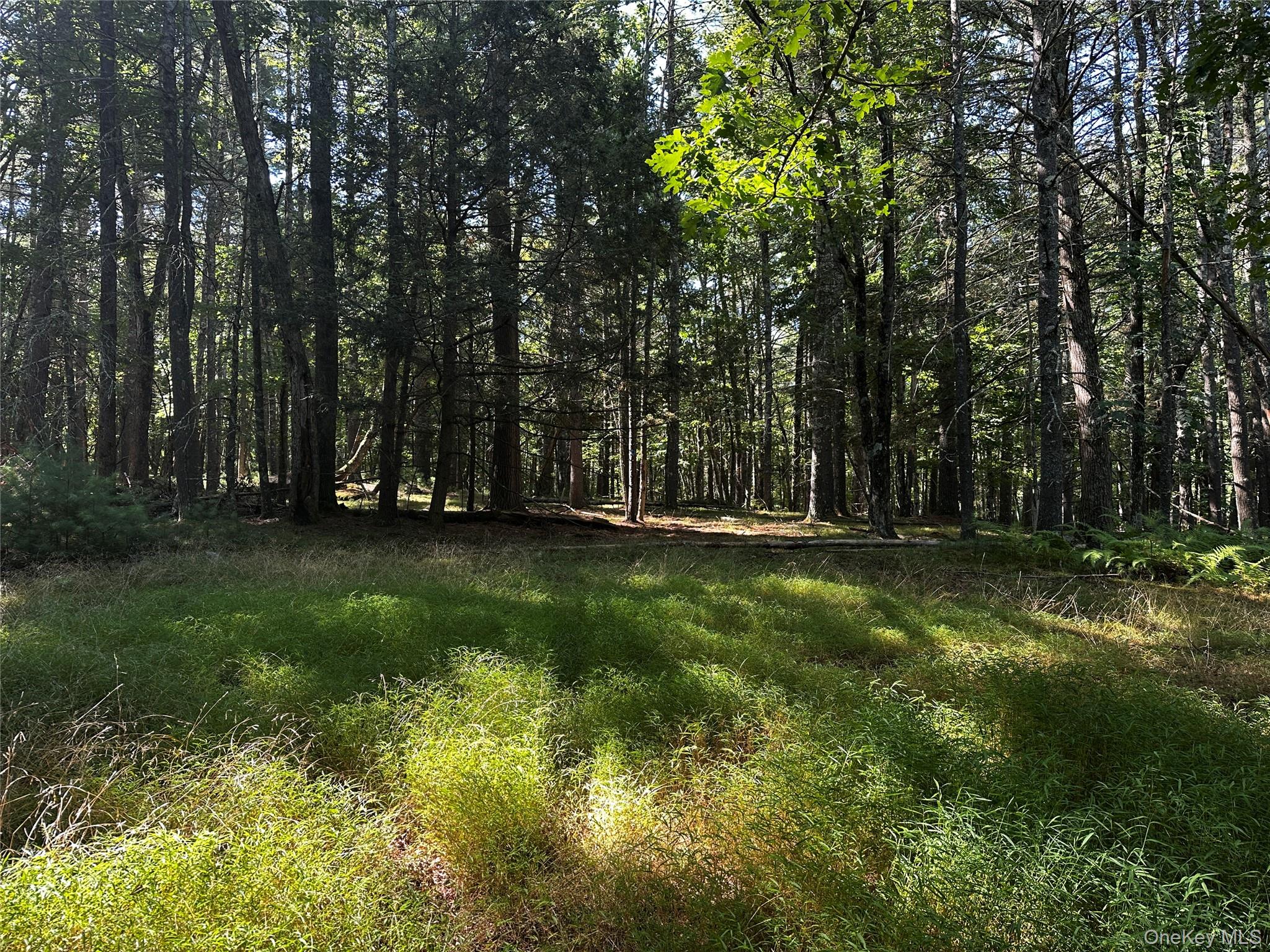 #2 photo, 8 Kern Road, Barryville , NY 12719